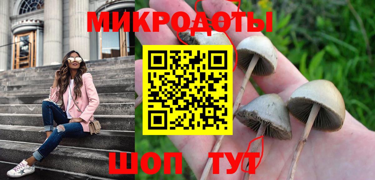 Псилоцибиновые грибы Magic Shrooms Черкесск